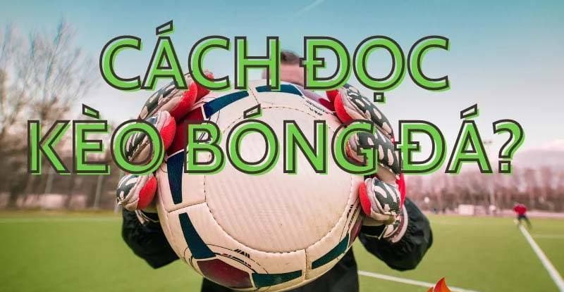 Người chơi cần nắm chắc cách đọc kèo bóng đá trước khi đặt cược